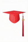 Family celebrating Irish graduation in scarlet gown