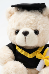 Graduation bear felt diploma scroll in paw close-up