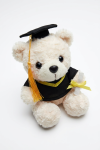 Graduation bear black gown back view detail